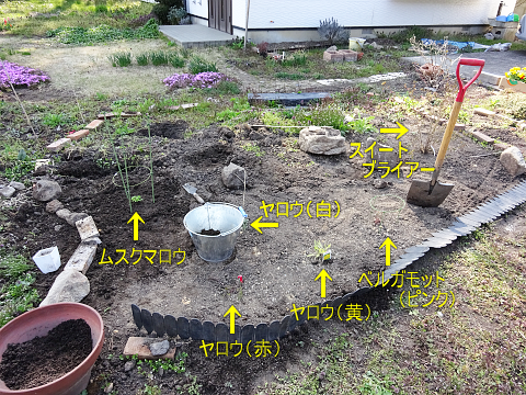 粘土質の庭へ植える まんねんろうの咲く庭で