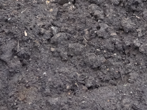 粘土質の土壌改良の途中経過 まんねんろうの咲く庭で